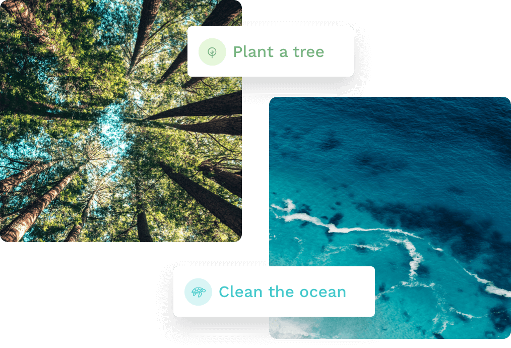 Use our savings to plant trees or clean the ocean