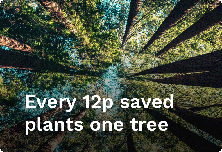 Every 12p saved plants one tree using a Currensea travel debit card